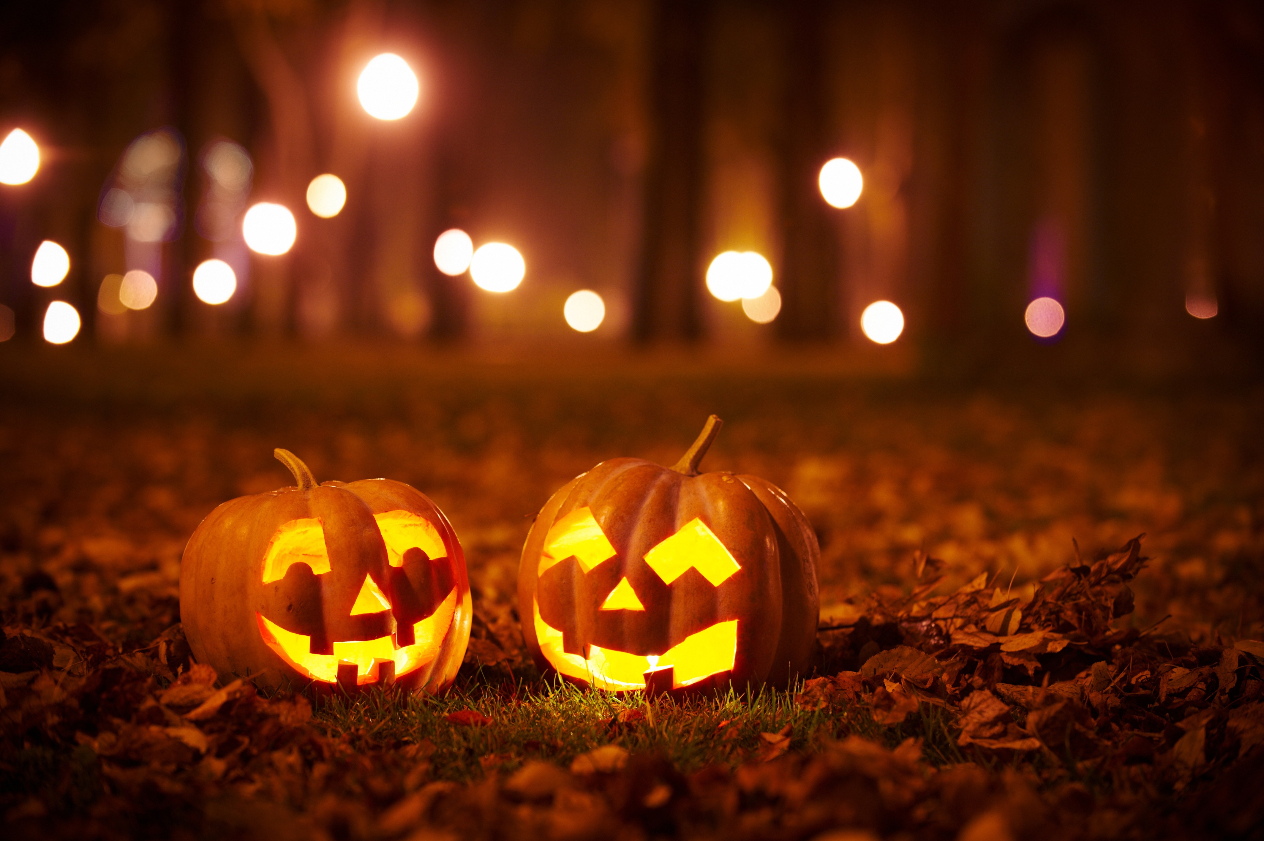 pumpkins_iStock-613872668.jpg