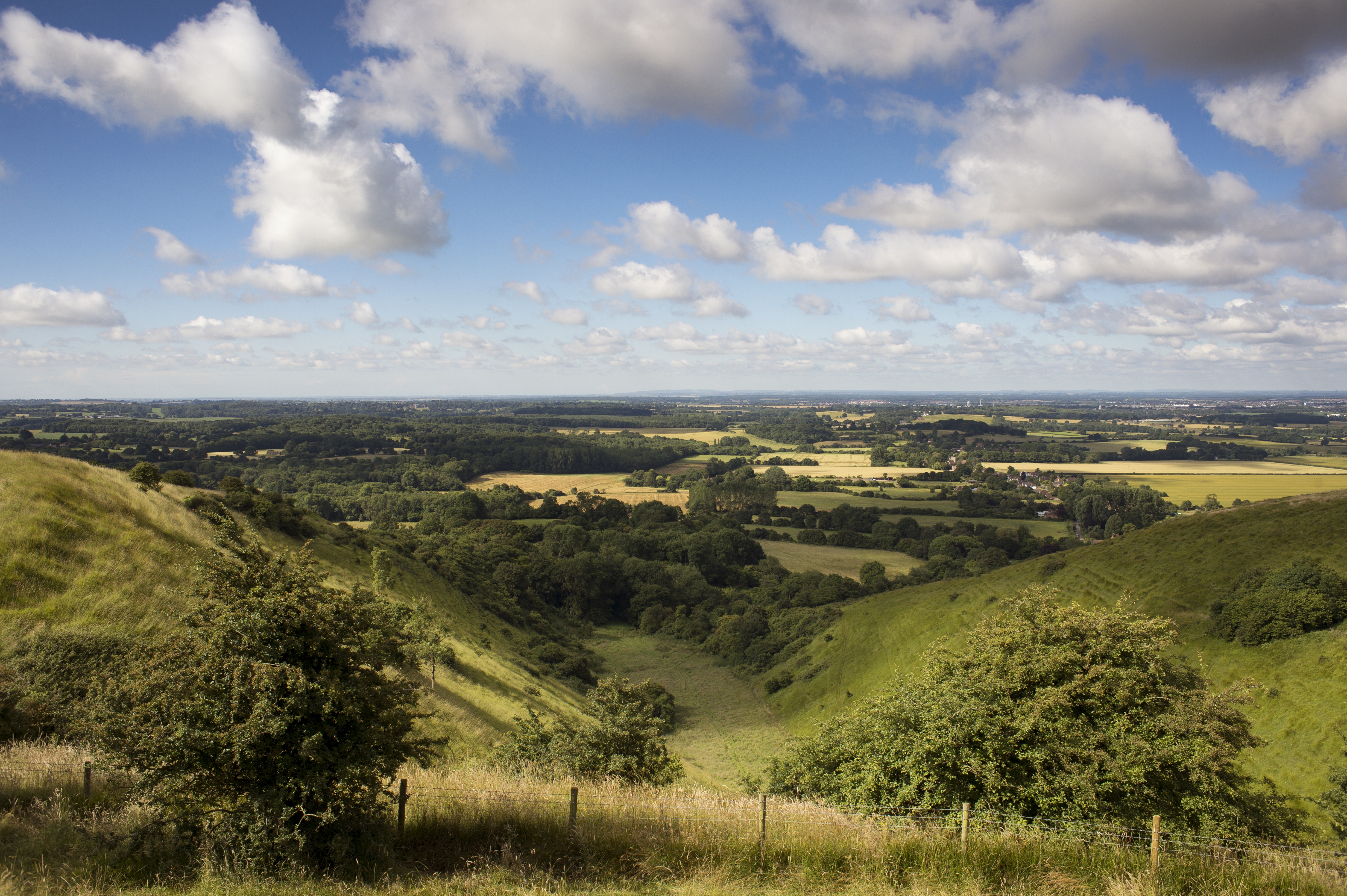 Countryside downs generic abc image.jpg