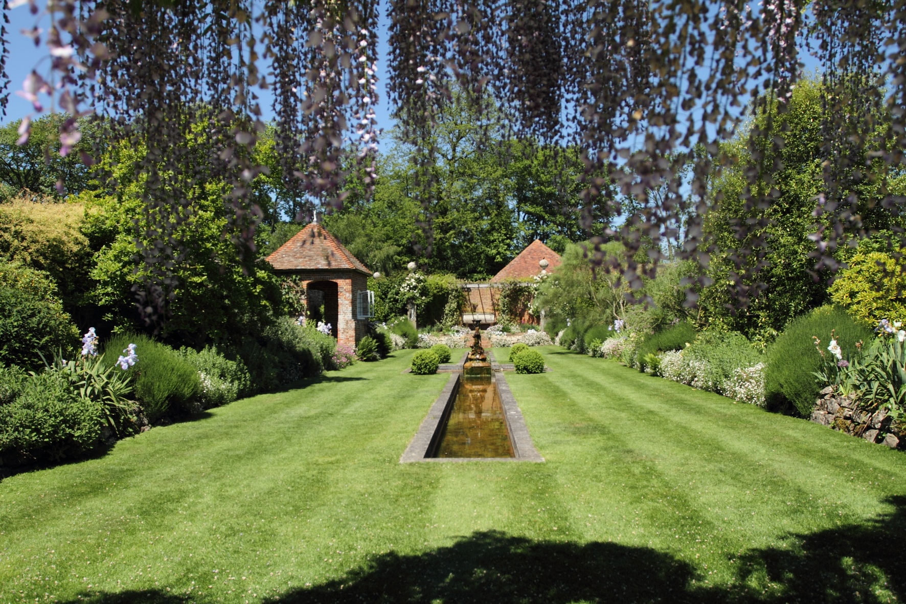 Godinton Delphinium Week.(c).JPG