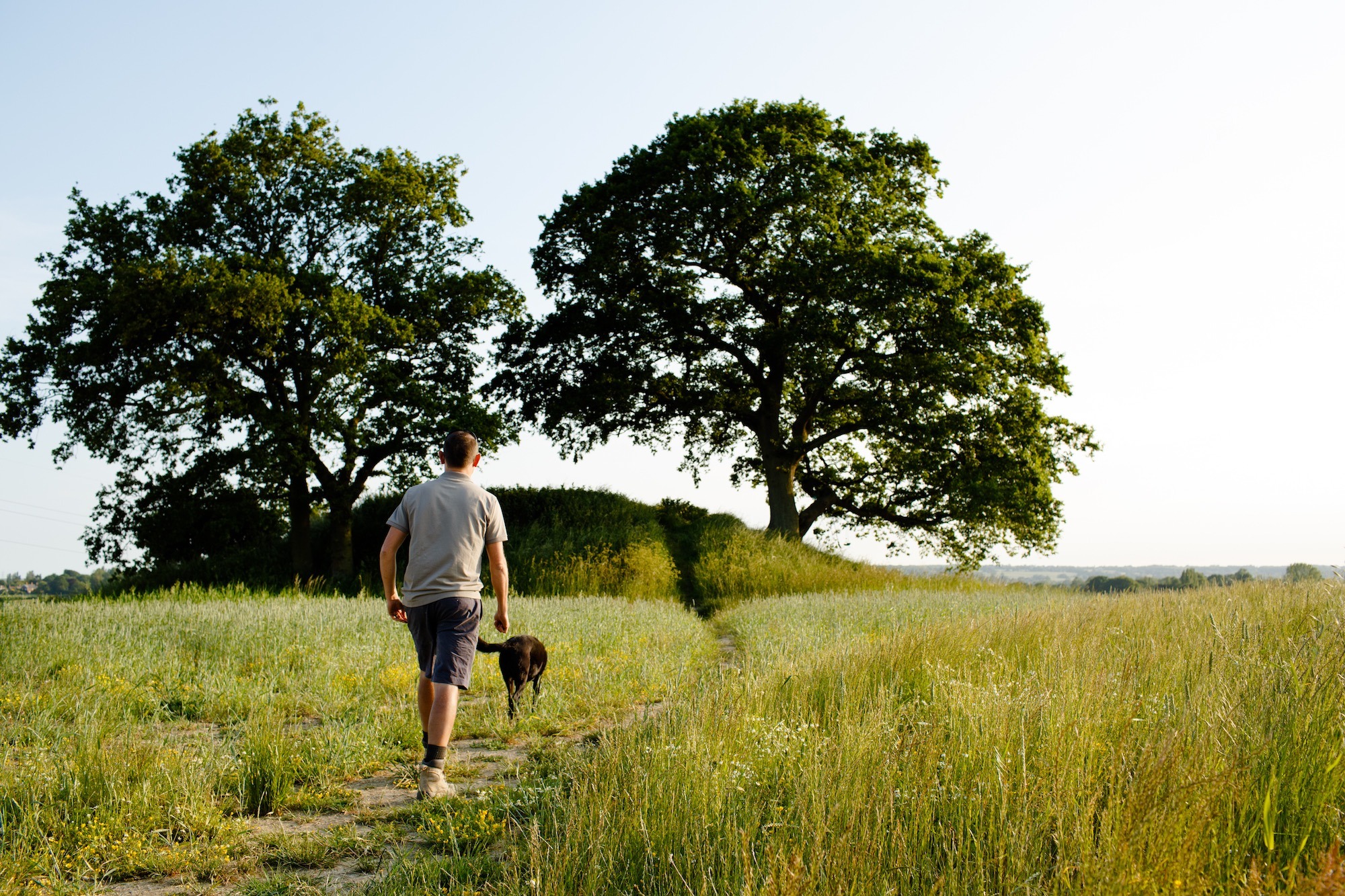 Gusbourne (c).jpg (1)