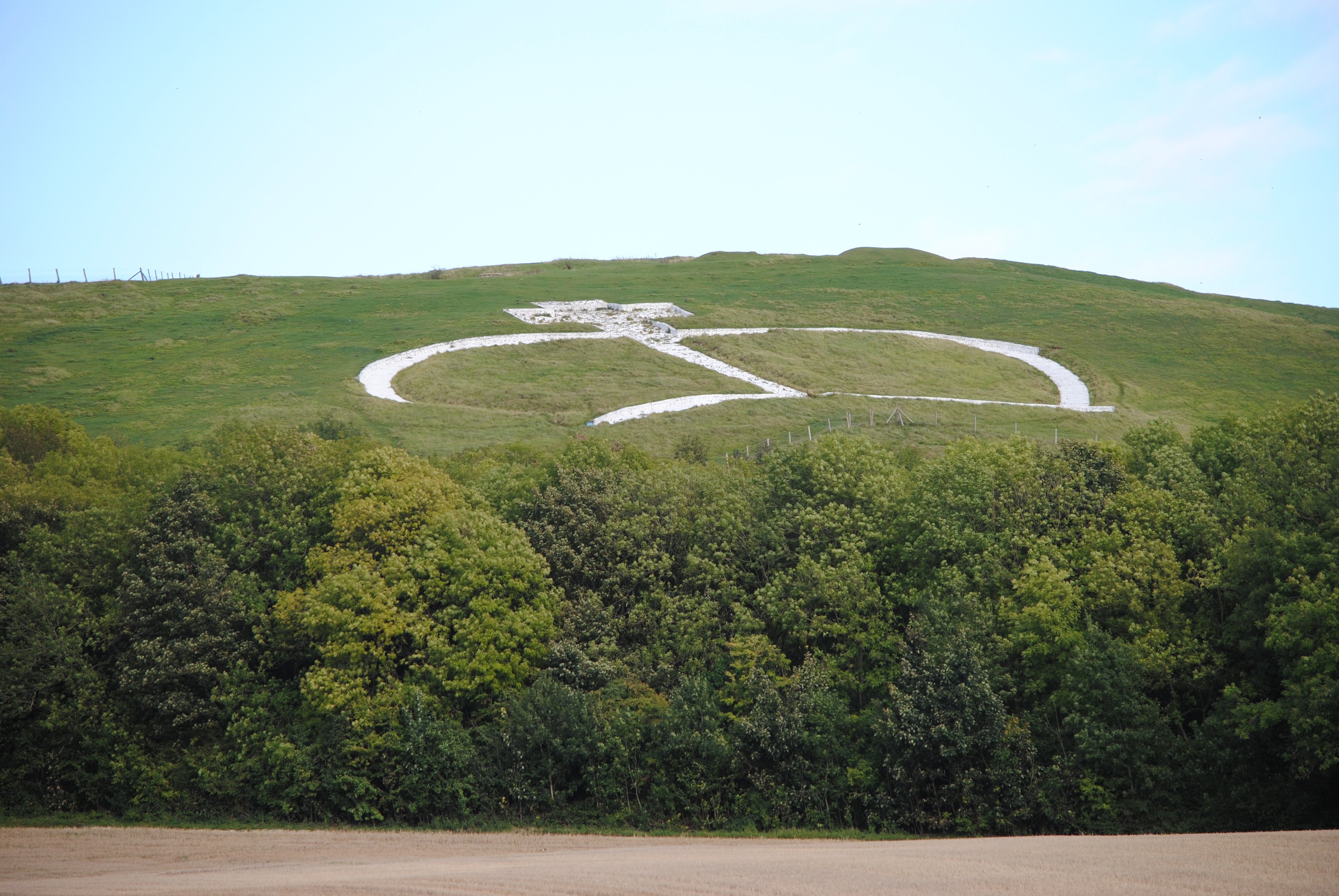 North Downs Way Wye Crown.(c)JPG.jpg (1)
