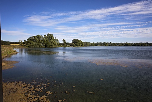 Conningbrook Easter Hunt.jpg