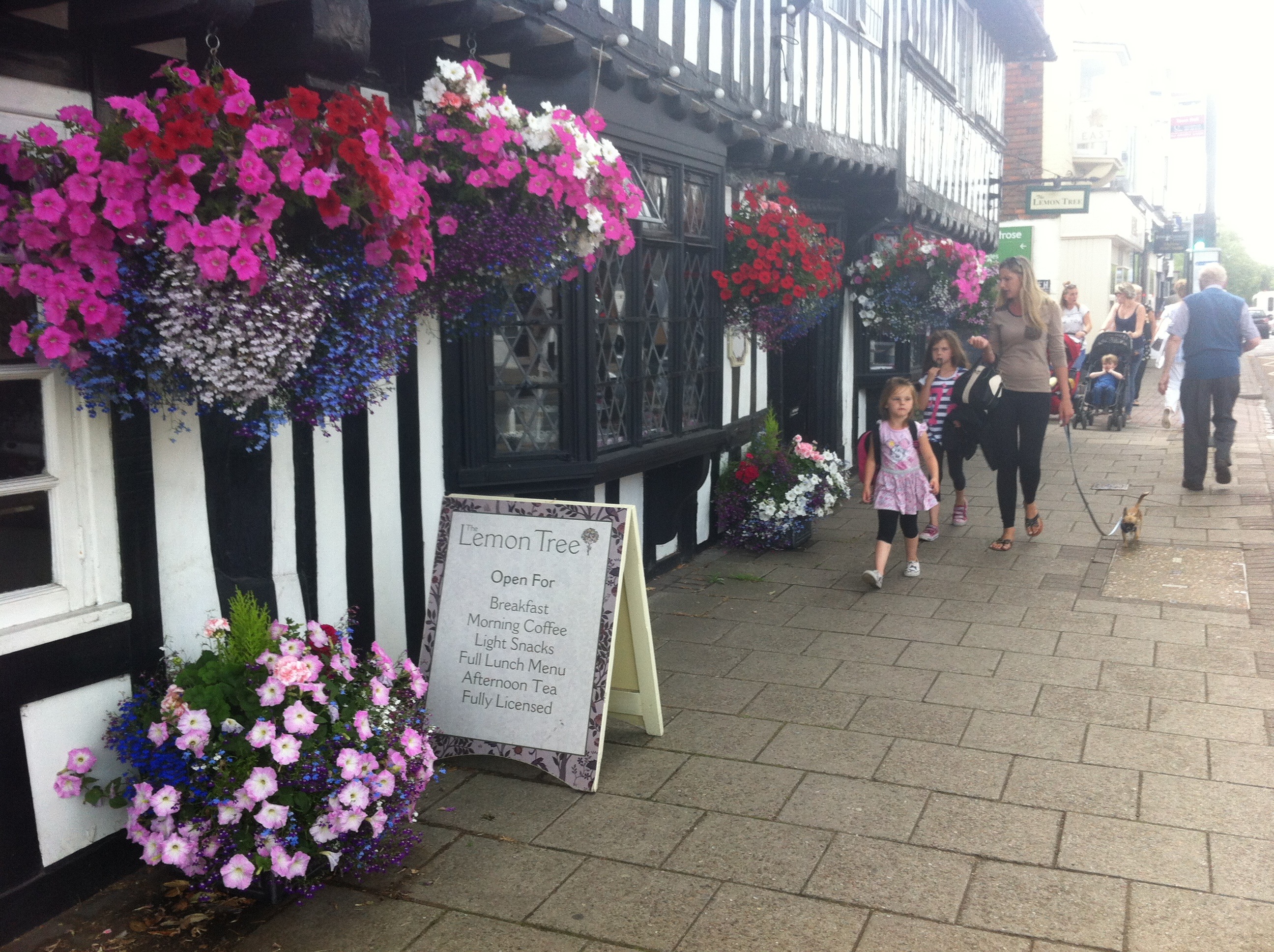 The Lemon Tree Exterior Aug2019 (C)