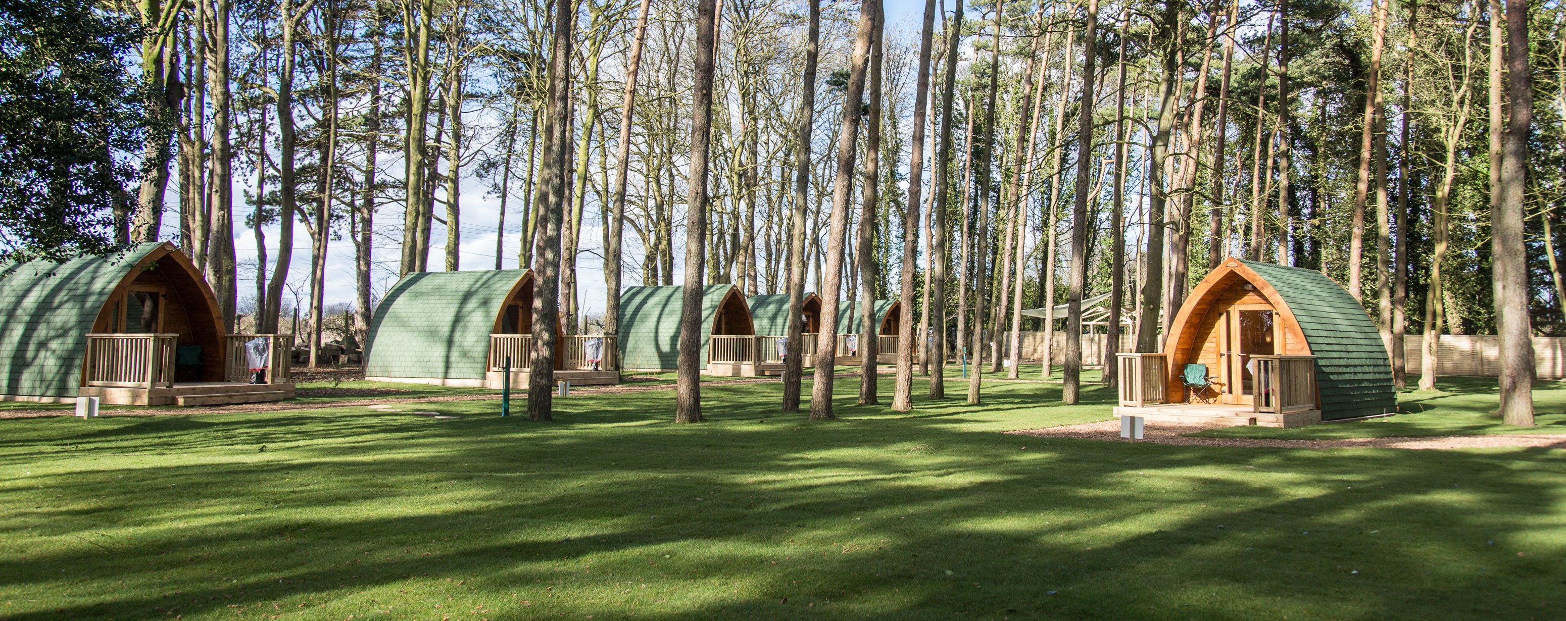 pinewood-pods-at-port-lympne-reserve.jpg