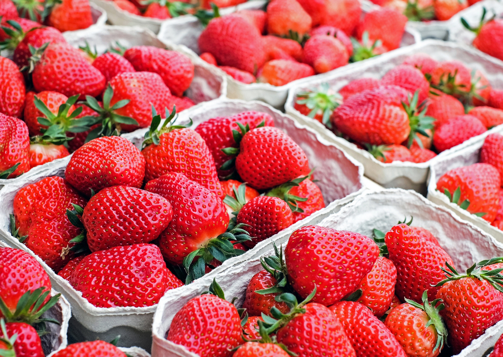 Strawberries (Canva)