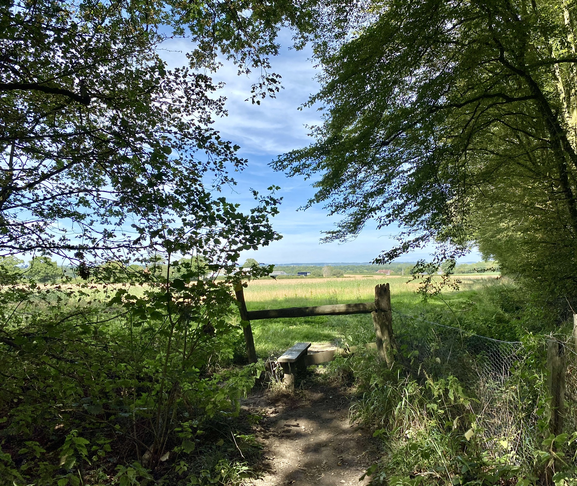 Alison Jane Miles (Insta @Ajmsnaps) Bethersden 3