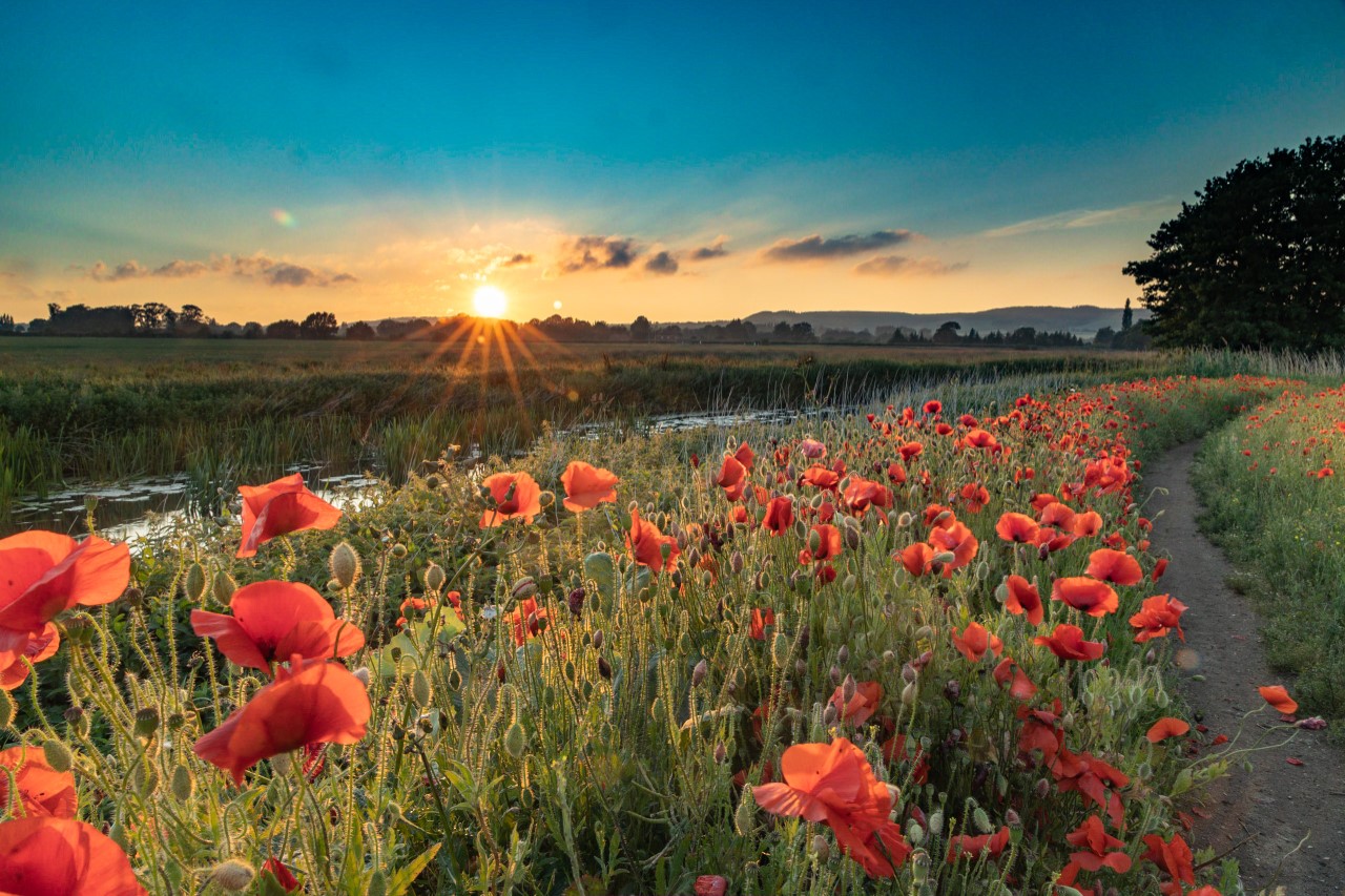 Big Welsh Paul River Stour Wye