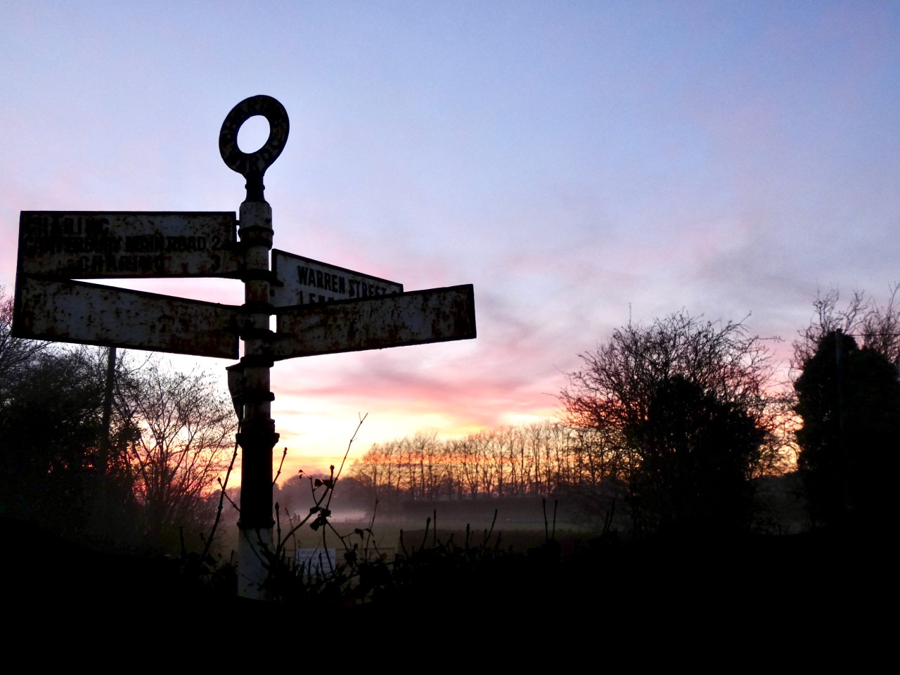 Carol Palmer (Insta Tw @Mollyd44) Top Of The Downs Near Warren Street