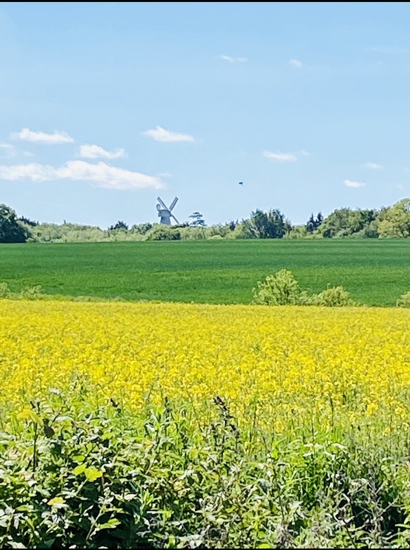 Corinne Hussein Willesborough Windmill From Conningbrook Lakes