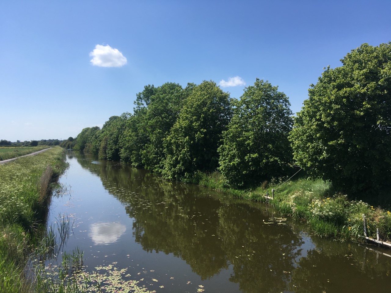 David Holland (Insta @Daviddch36) Bilsington