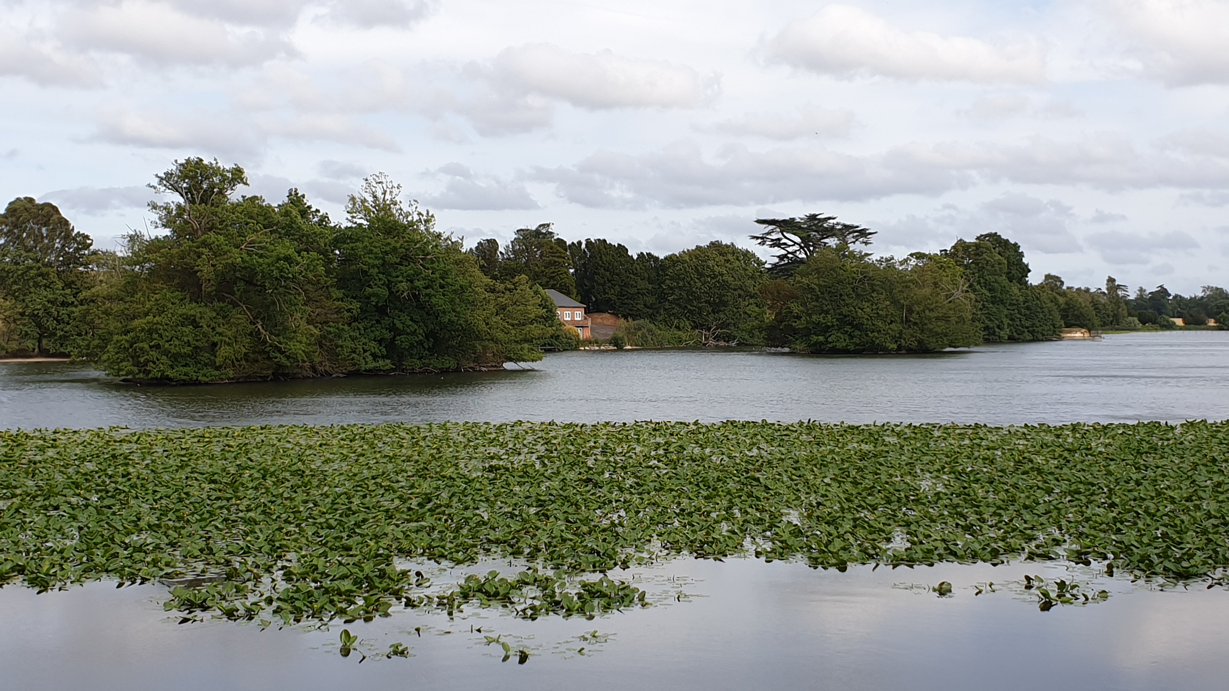Ellie Crook (Insta @Elliecrookphotography) Eastwell Lake