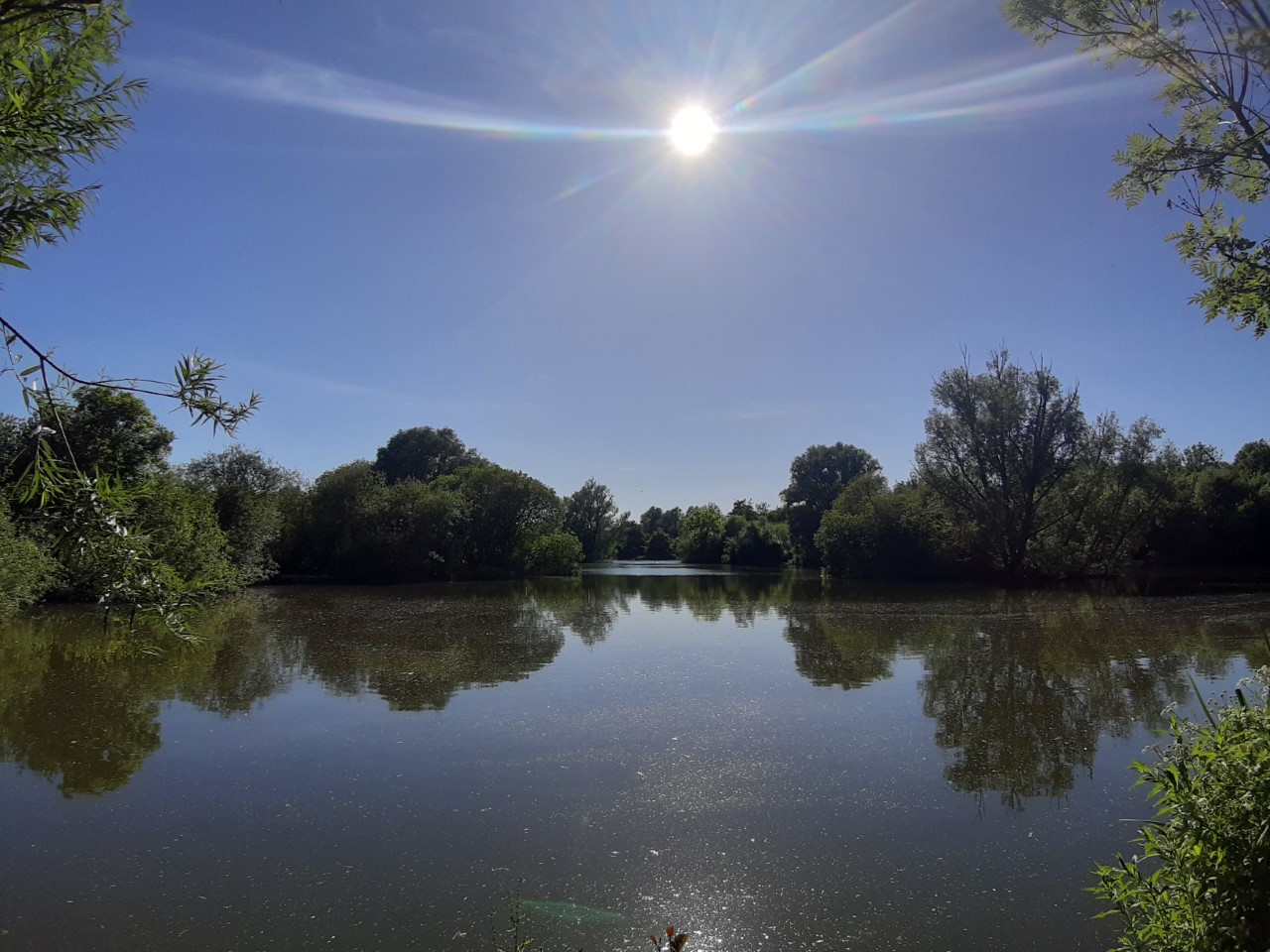 Jen Kemp Singleton Lake