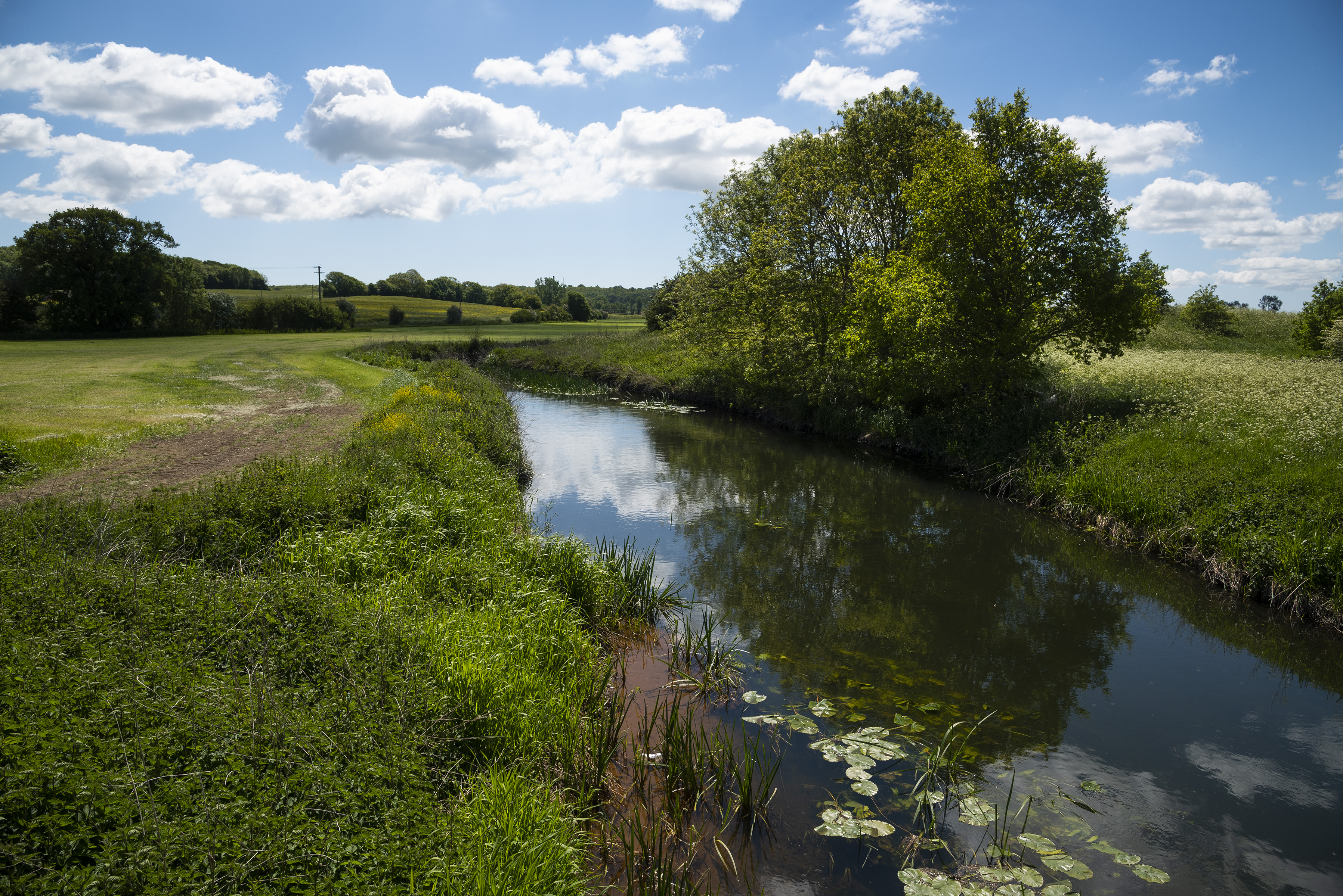 Kevin Miles (Insta @Kevothephoto) Great Stour Near Conningbrook Lakes