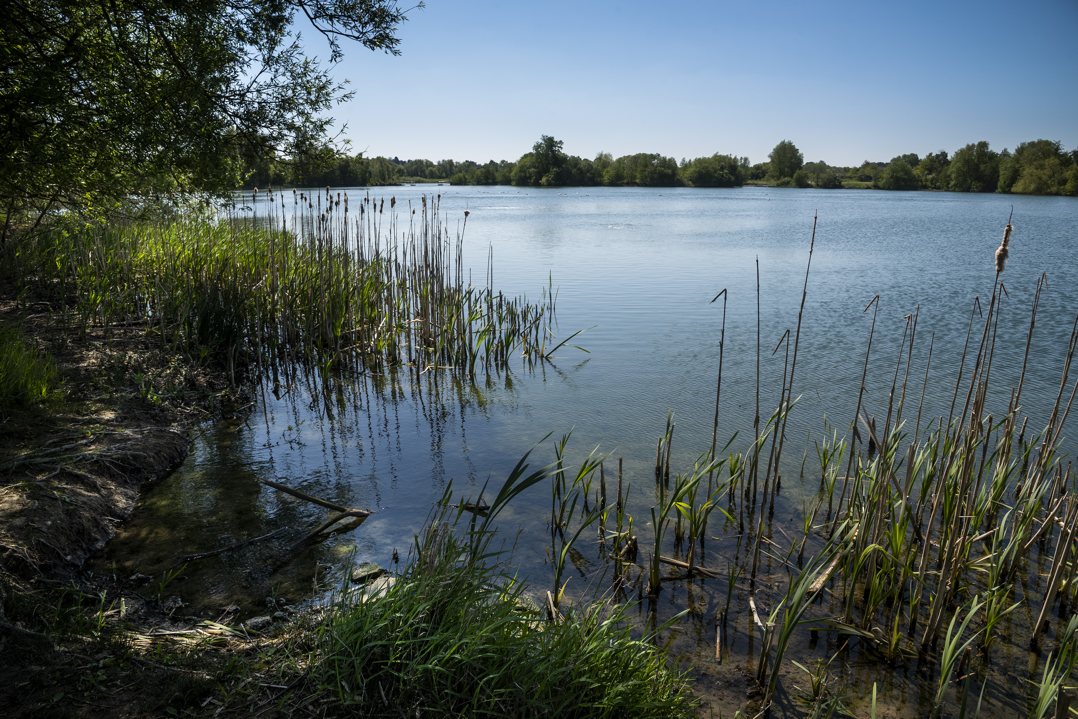 Kevin Miles (Insta @Kevothephoto) Conningbrook Lakes