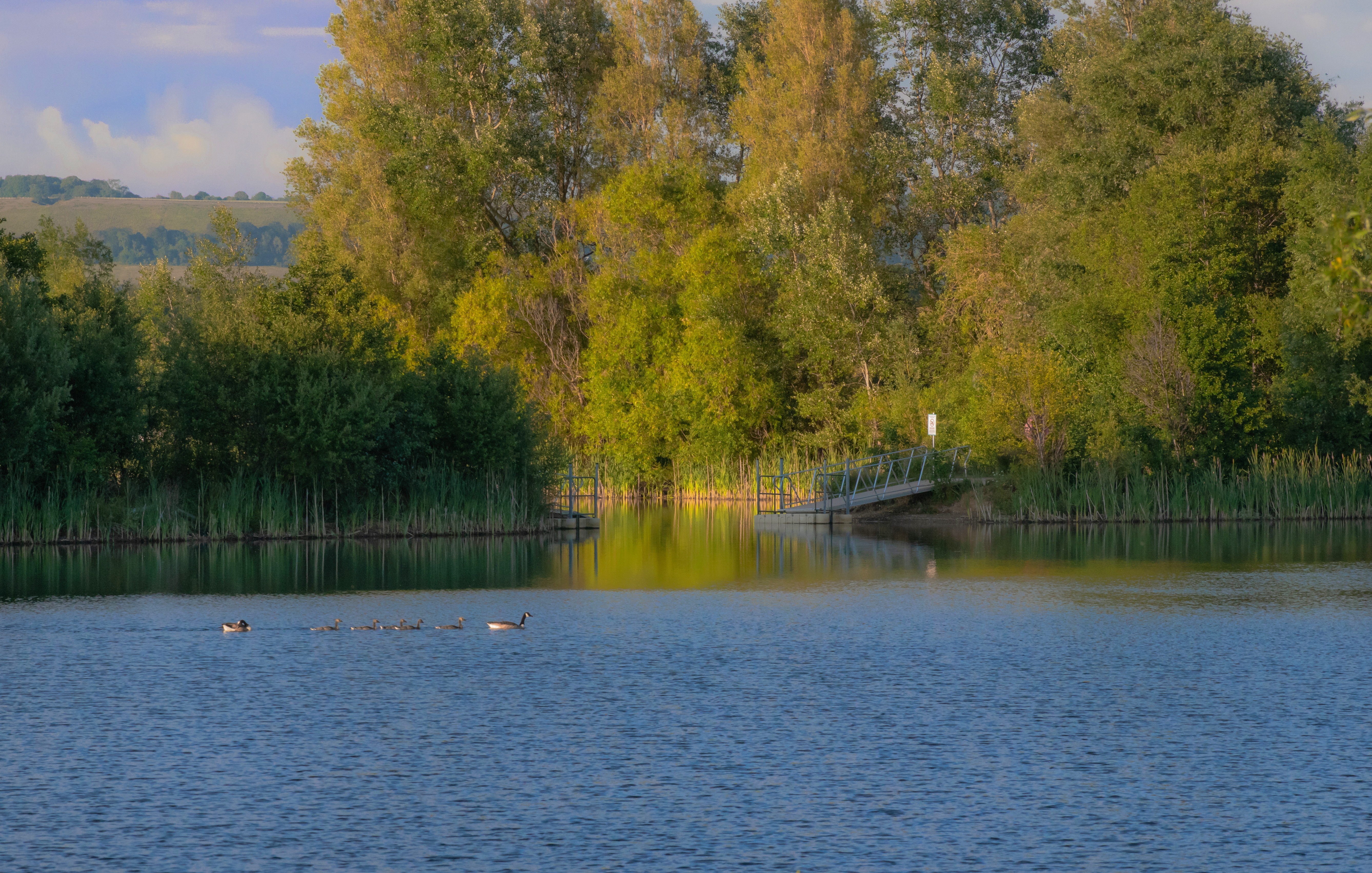 Konstantine Charis (Insta @Kc Mod) Conningbrook Lake