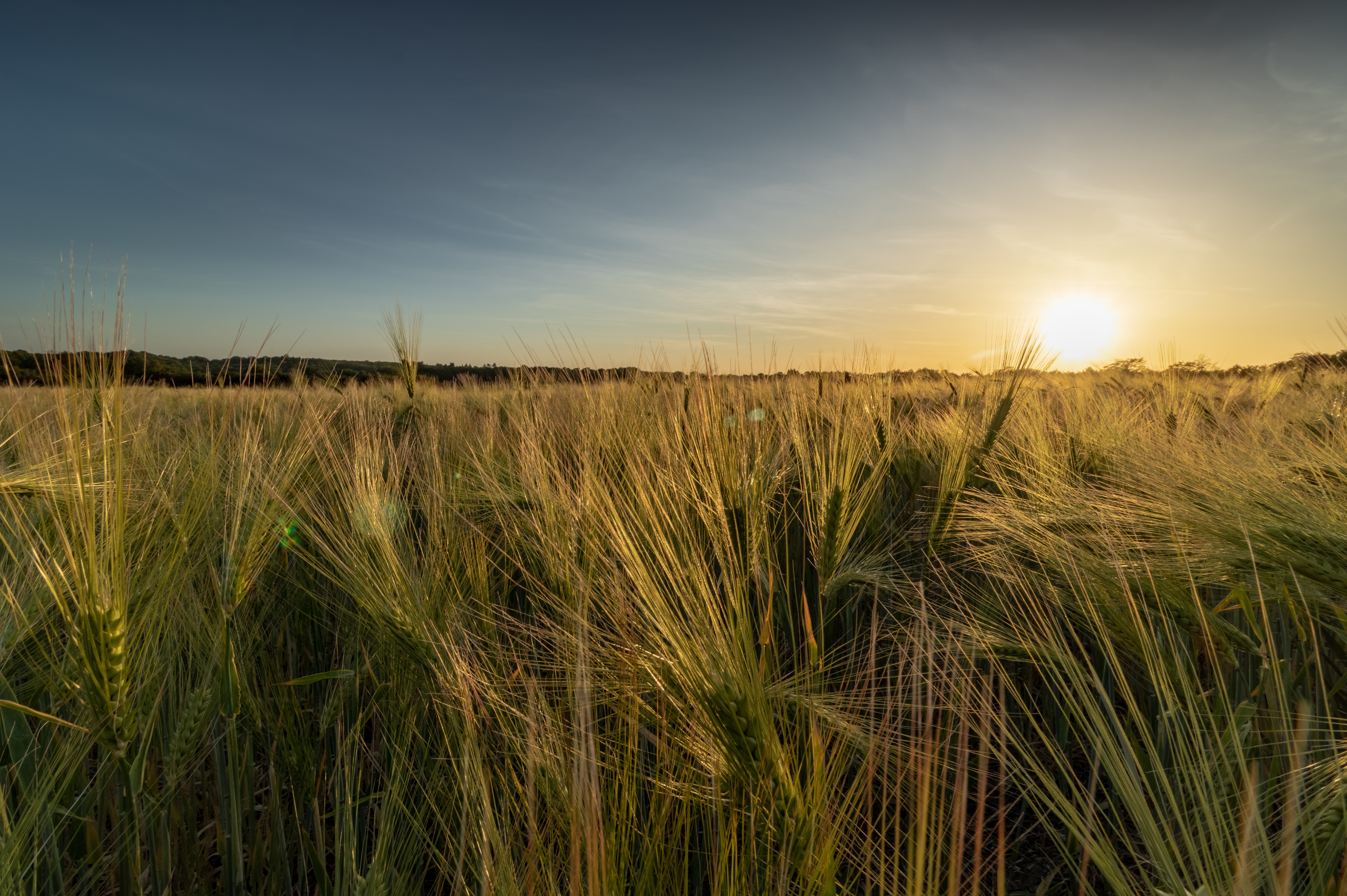 Mariusz Neuman 05. Ashford Pemberton