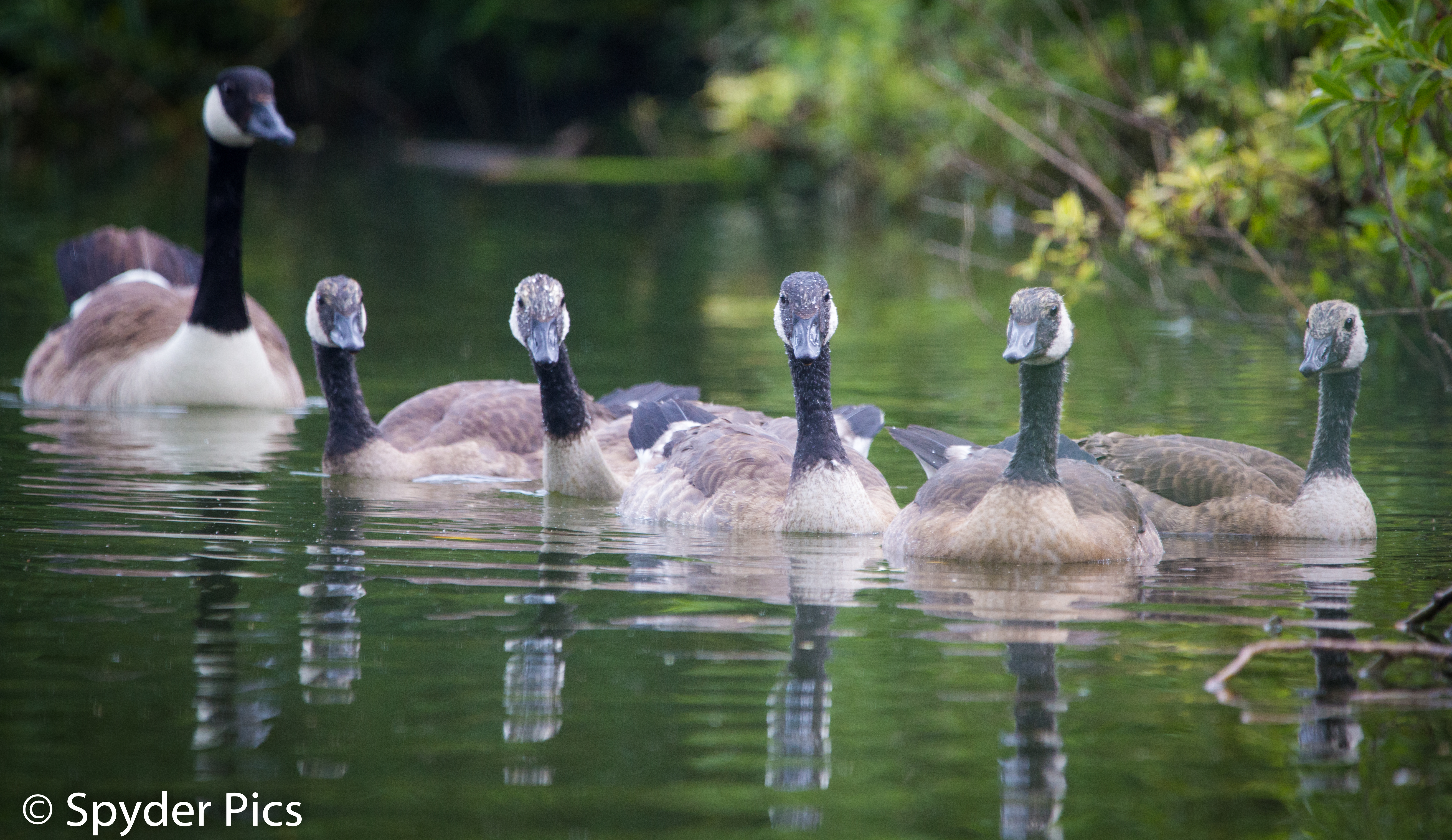 Paul Webb (Insta @Paulwebb5292) Singleton Lake 2
