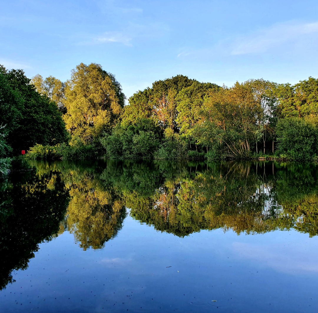 Penny Mills Singleton Lakes 1 (1)