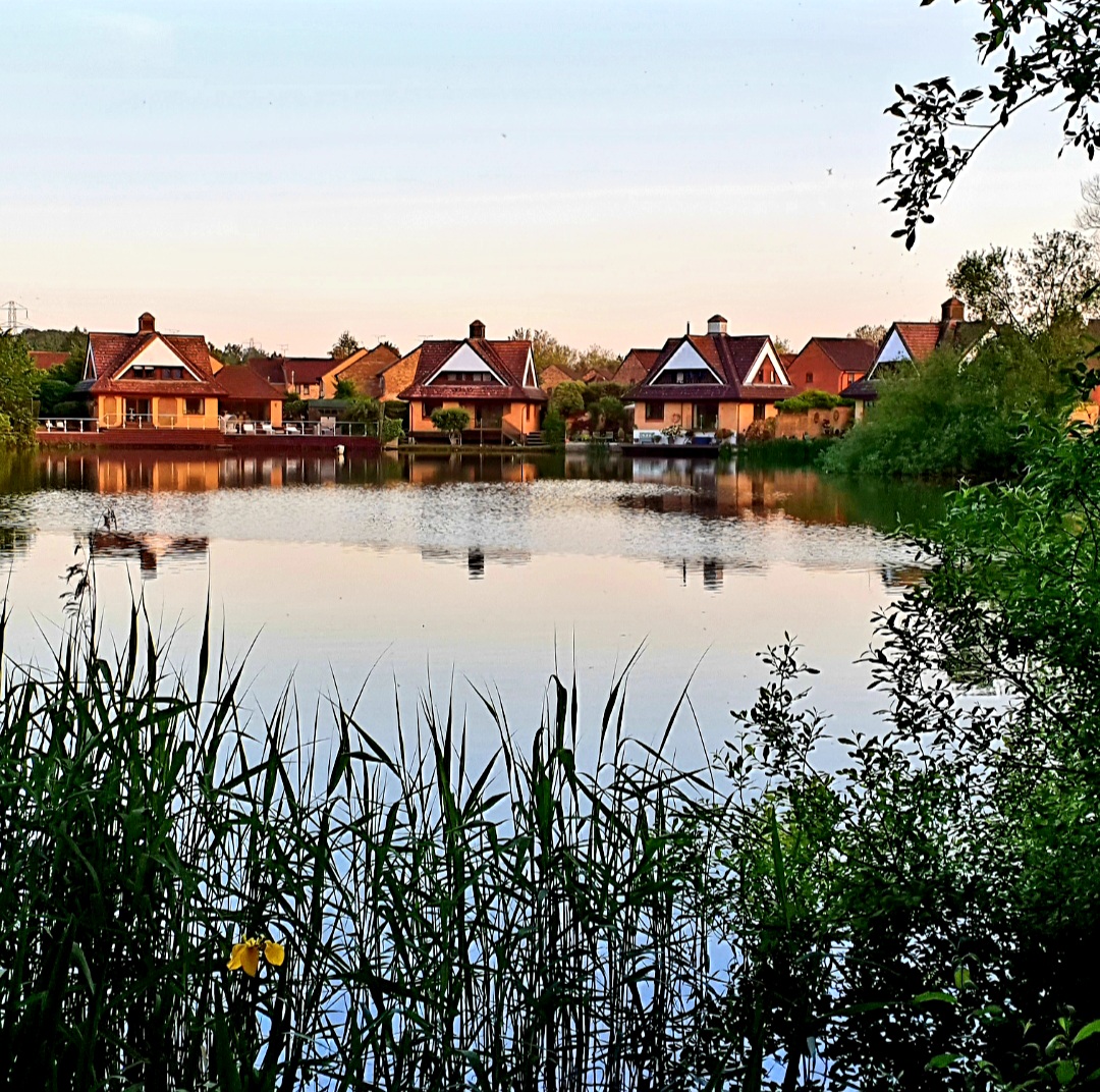 Penny Mills Singleton Lakes 3