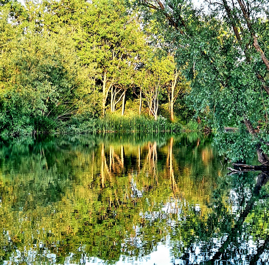 Penny Mills Singleton Lakes 4