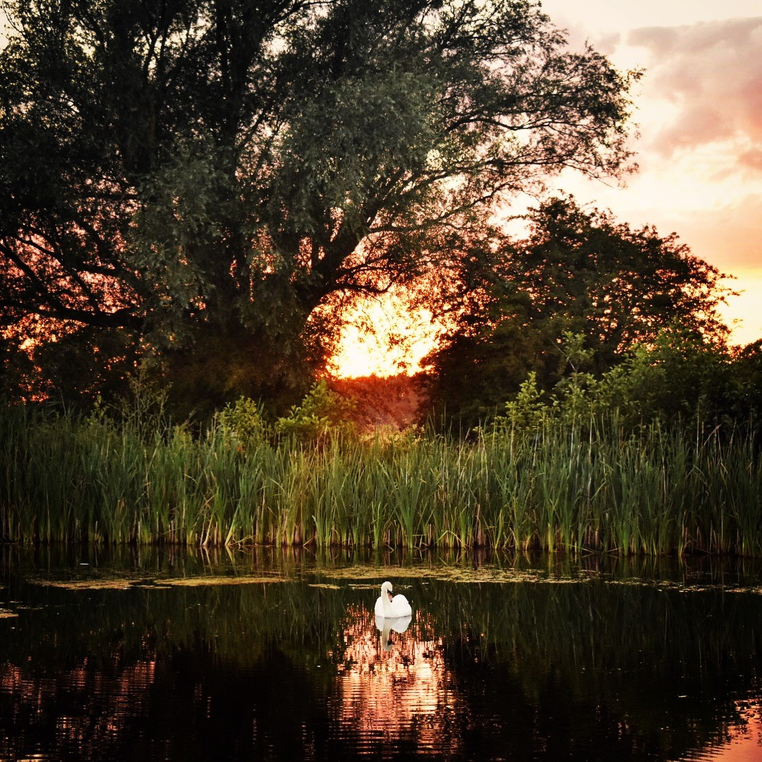 Rebecca Mckenzie (Insta @Beccajmck) Sunset Over Finberry 2