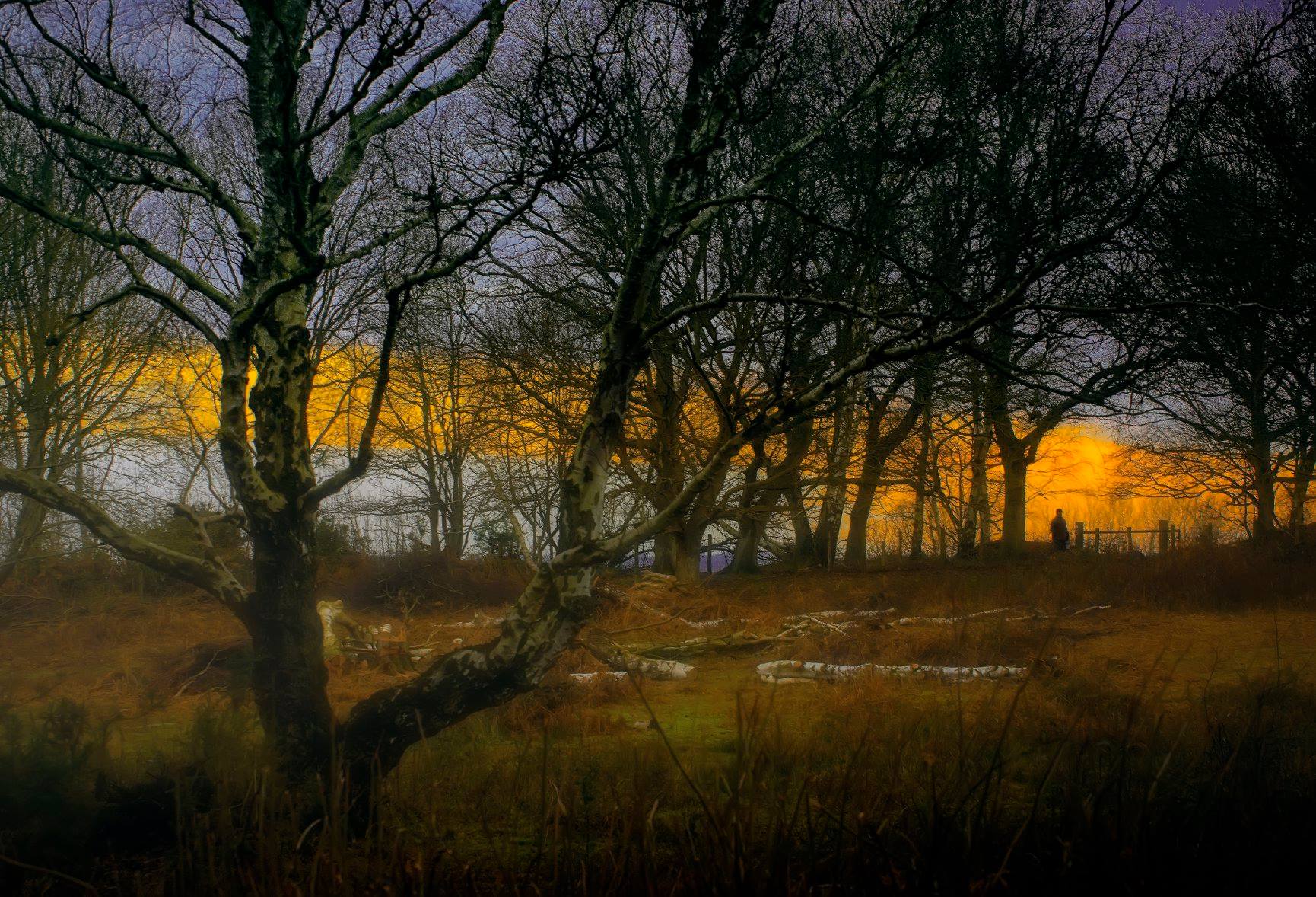 Susan Sanger Sunset At Hothfield Common