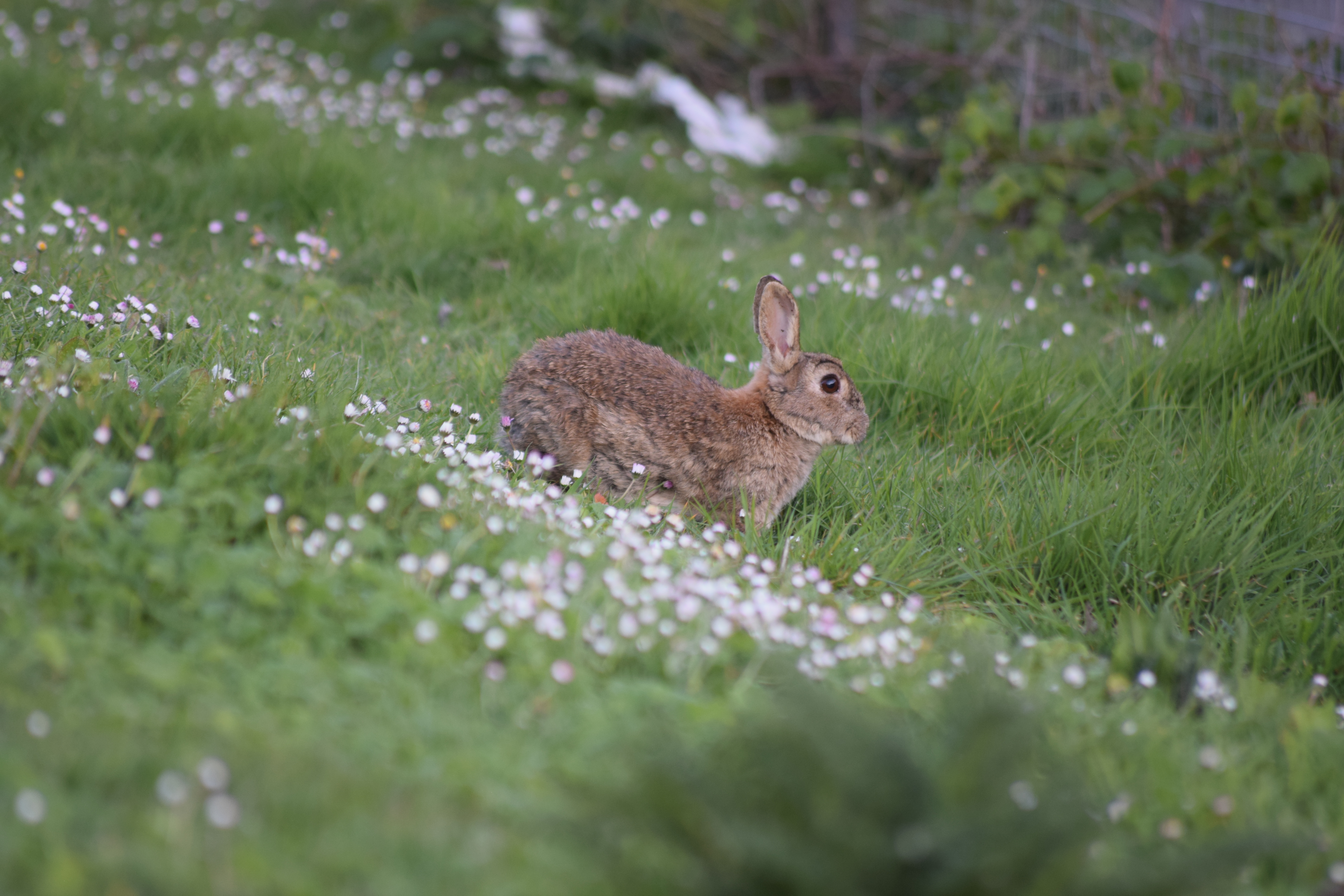 Tegan Carter (Insta @Tegan Emilyphotography) Boys Hall Moat 2