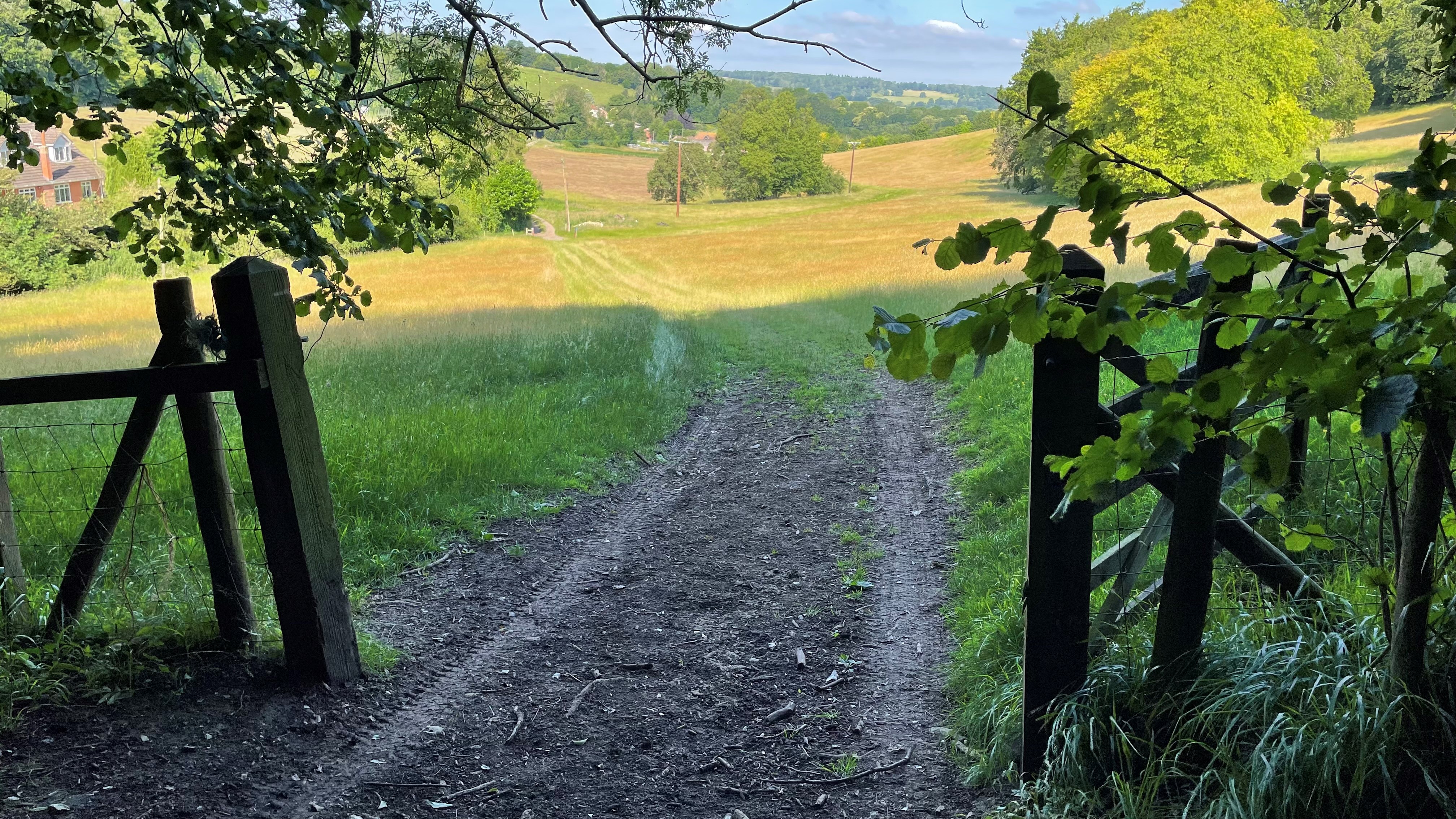 Crundale July2021 (AH)