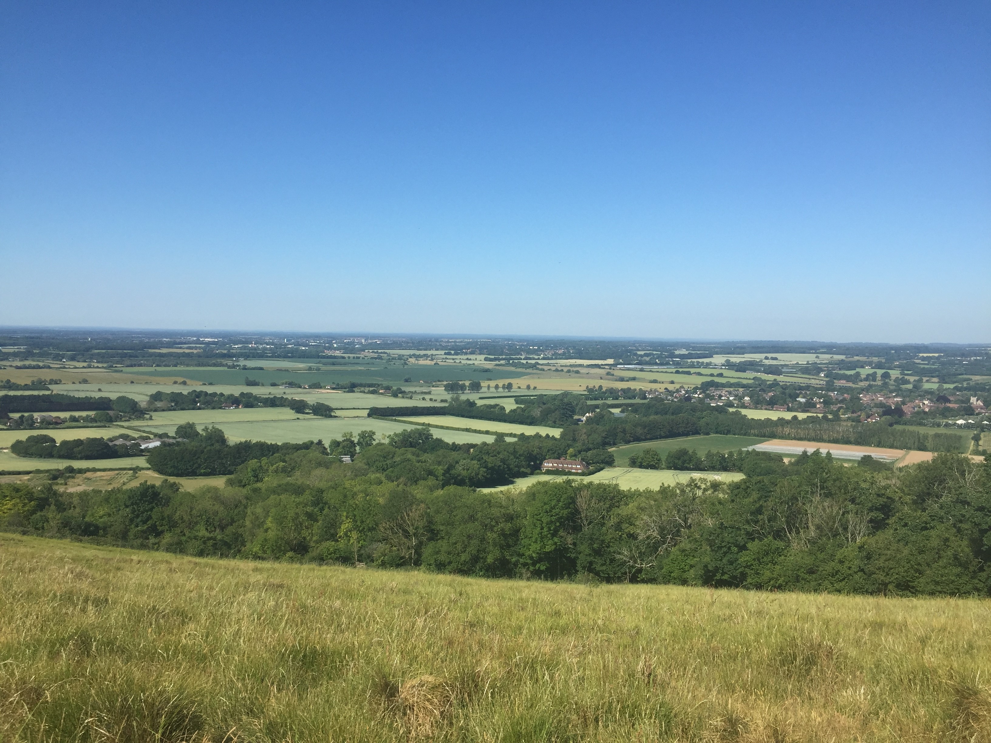 View From Wye Crown June2020 (AH)