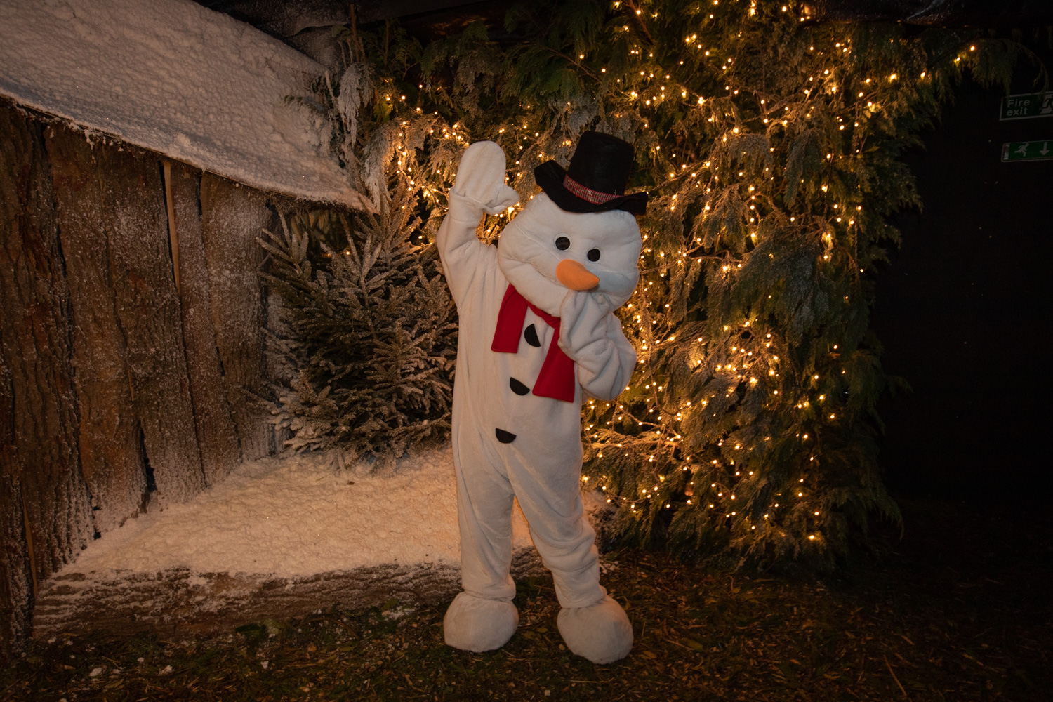 Rarebreedsxmas 4 (Nov2021)