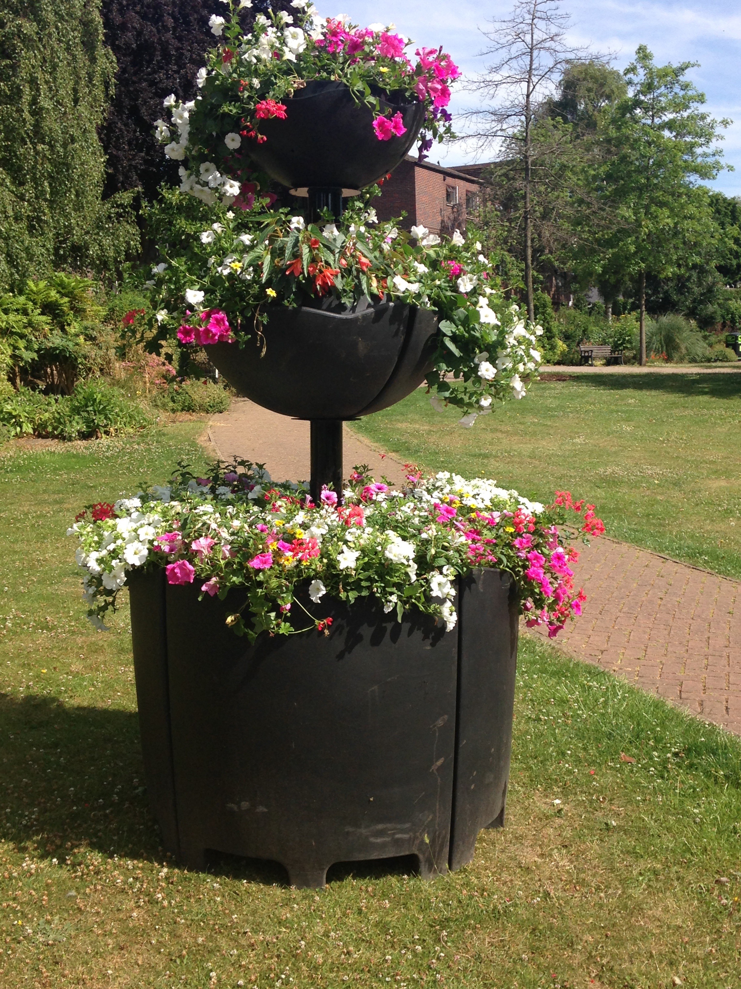 AH. Summer Flowers Memorail Gdns