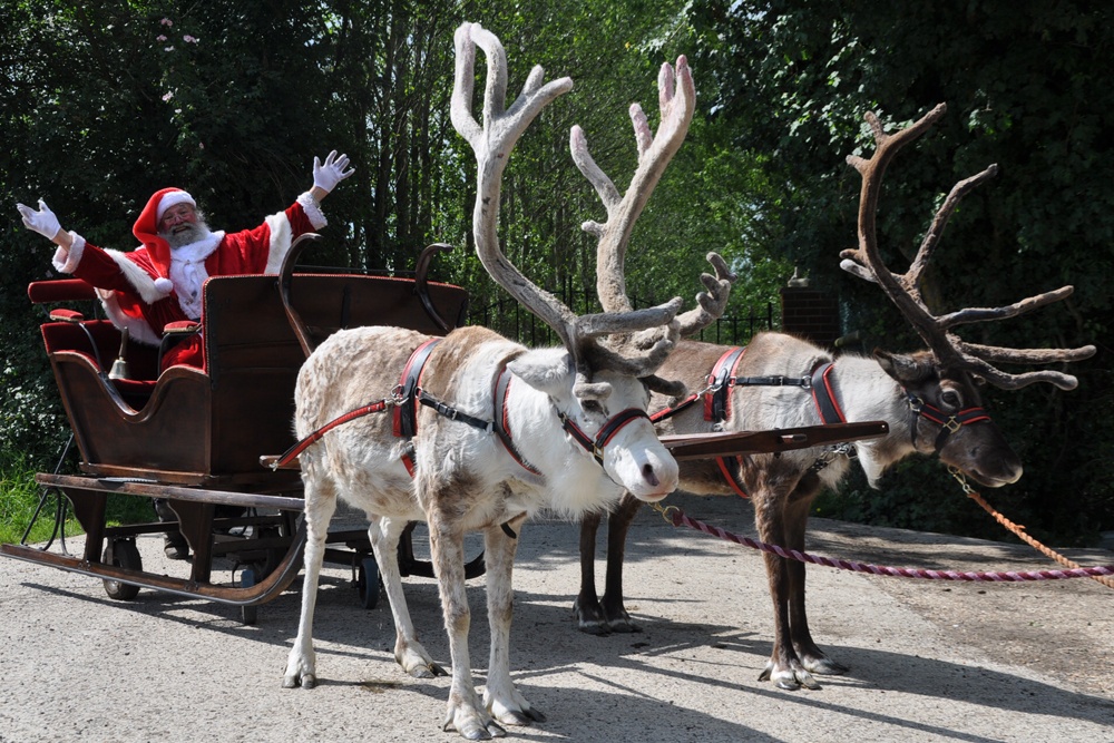 Reindeer Centre (1)